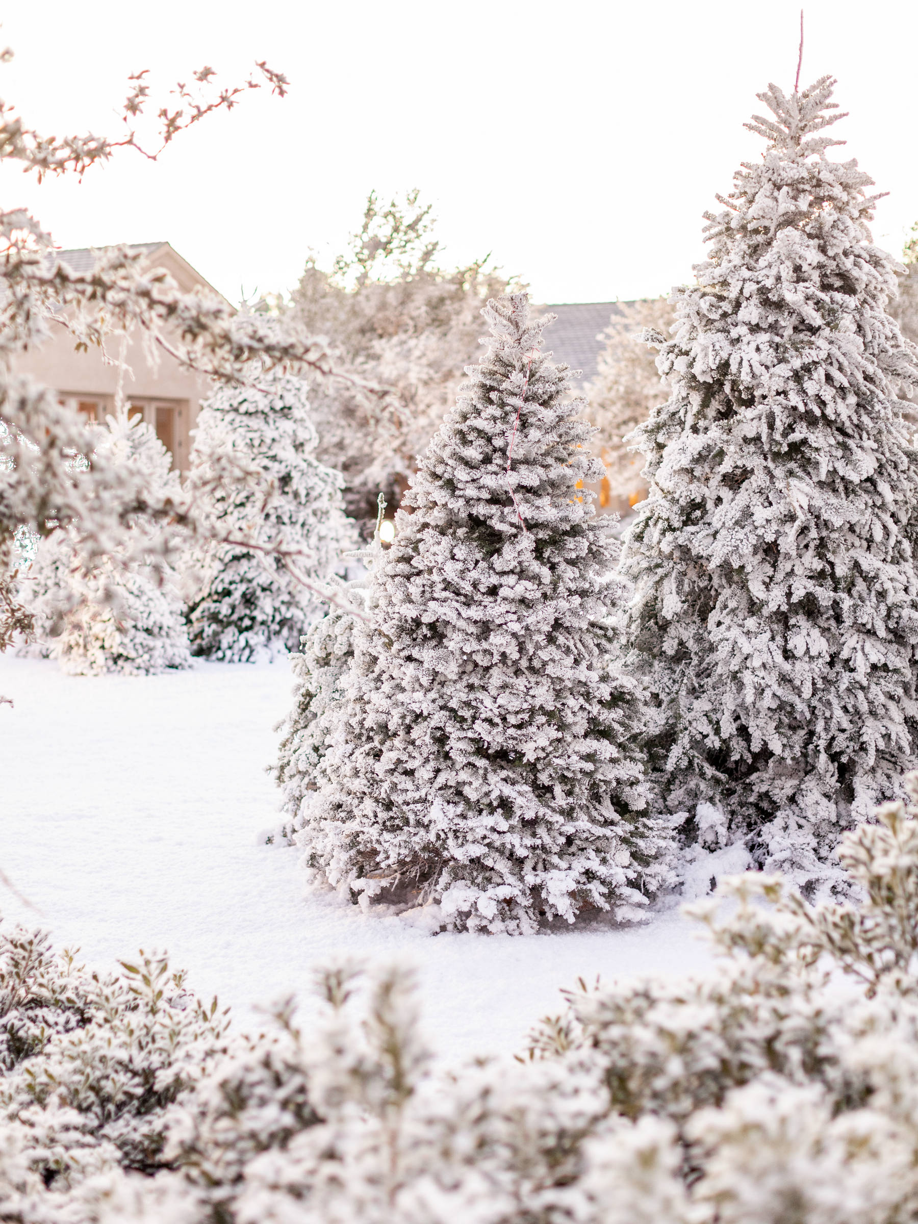 Walking in a Winter Wonderland