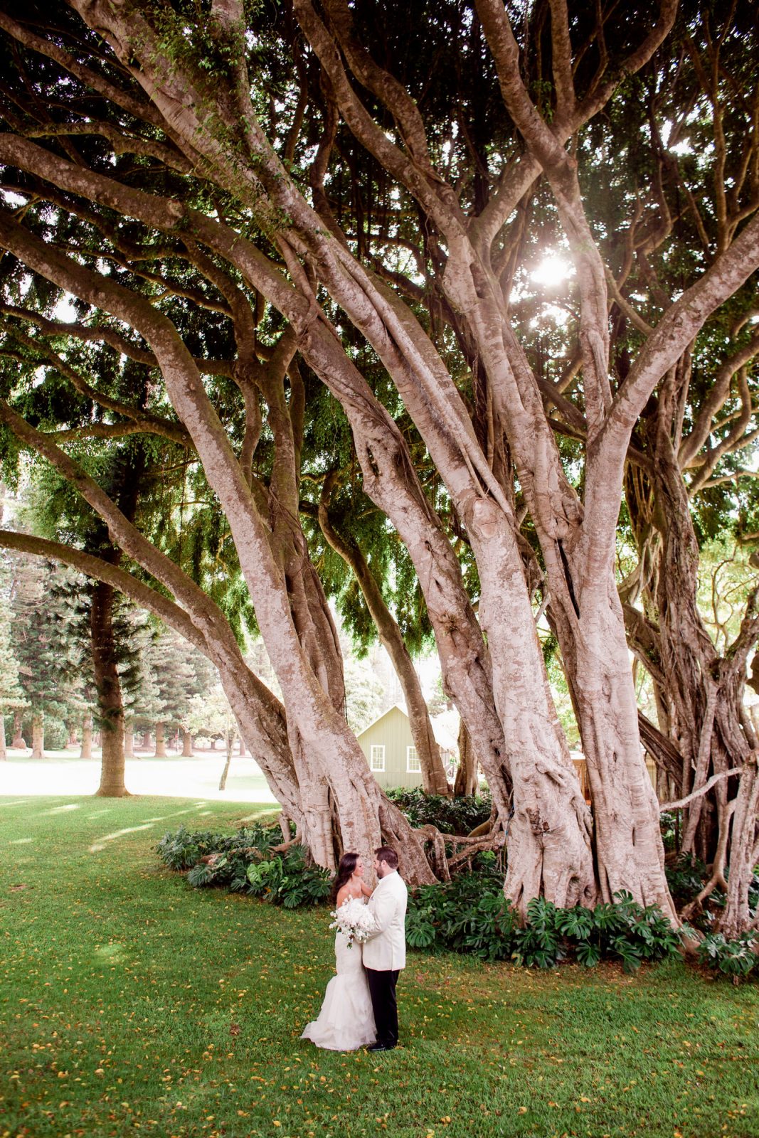 wedding at four seasons, lanai, hawaii