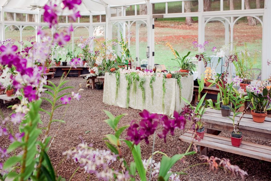wedding at four seasons, lanai, hawaii