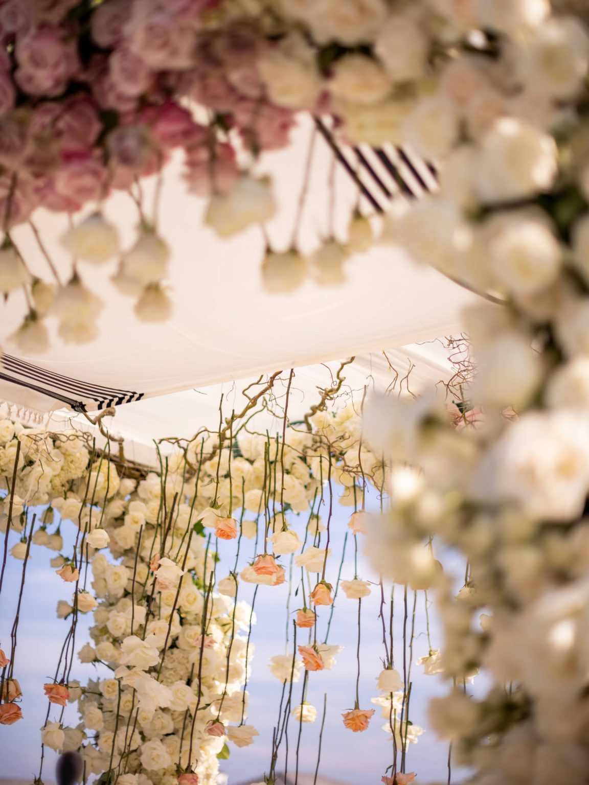 ally-james-portfolio-105