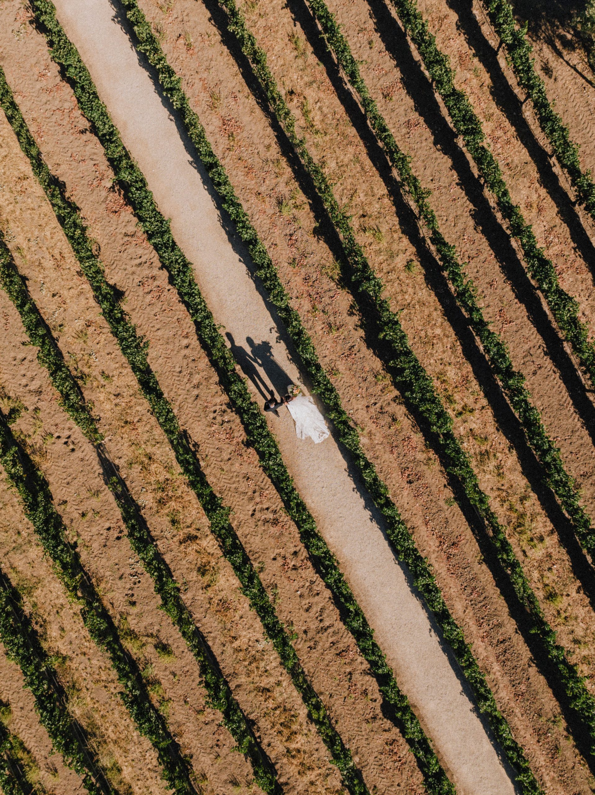 sarah-wells-sunstone-vineyards-solvang-177